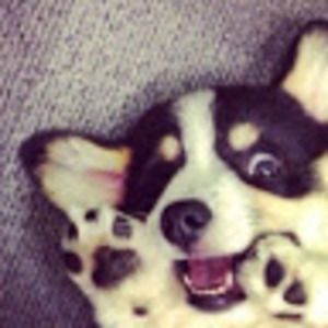 Meet your Posher, Yiming